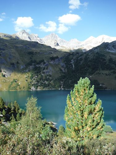 Clicca per immagine full size