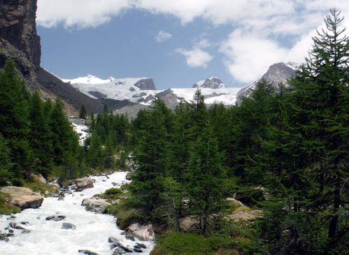 Clicca per immagine full size