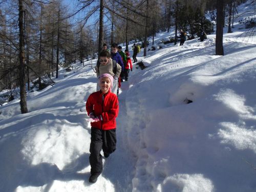 Clicca per immagine full size