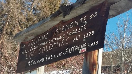 Clicca per immagine full size