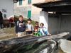 DSCF4452.JPG