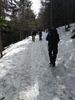 DSCF4453.jpg