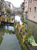 15 Canale in fiore.jpg