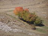 PA130334.JPG