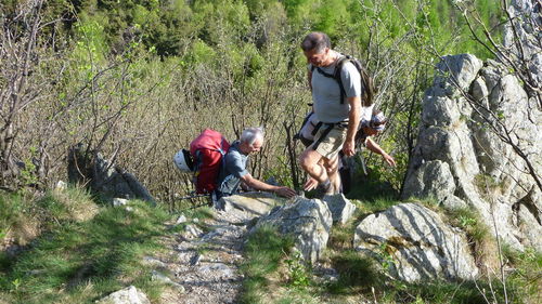 Clicca per immagine full size