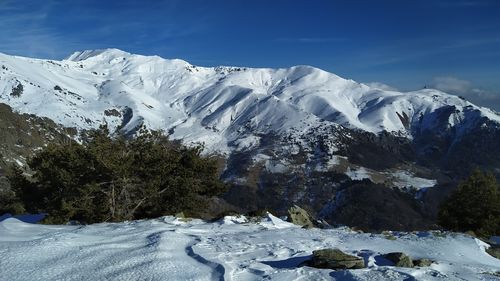 Clicca per immagine full size