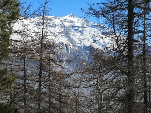 Clicca per immagine full size