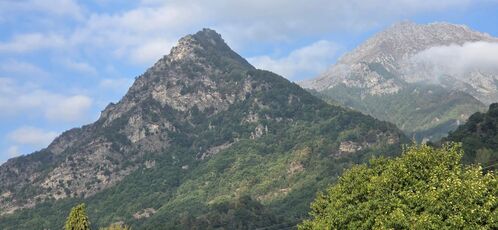 Clicca per immagine full size