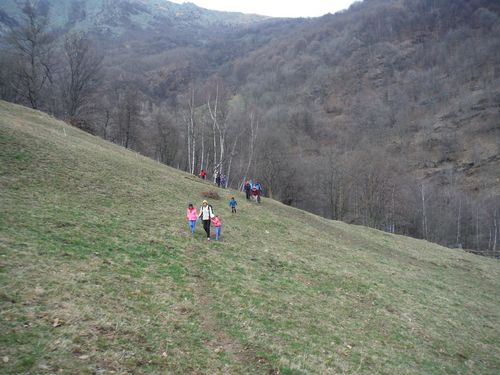 Clicca per immagine full size