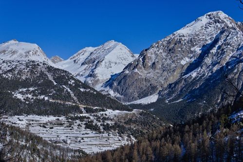 Clicca per immagine full size