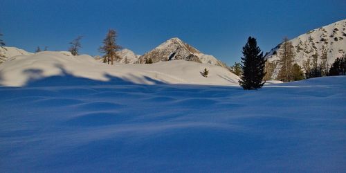 Clicca per immagine full size