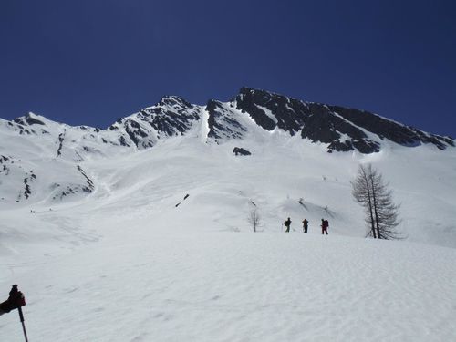 Clicca per immagine full size