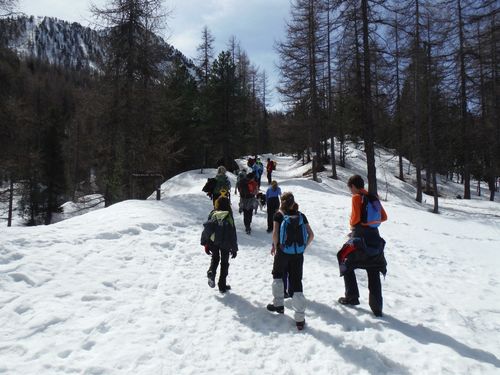 Clicca per immagine full size