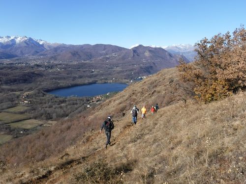Clicca per immagine full size