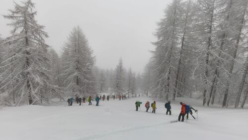 Clicca per immagine full size