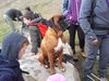 20160410_134721.jpg