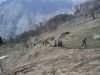 DSCF9701.JPG