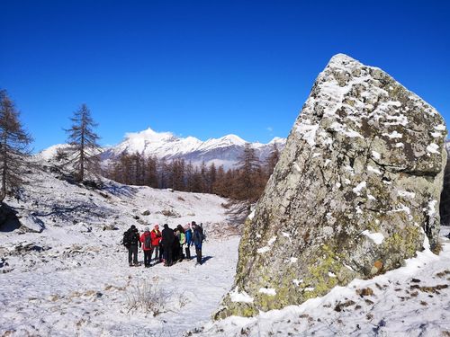 Clicca per immagine full size