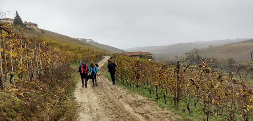 Clicca per immagine full size