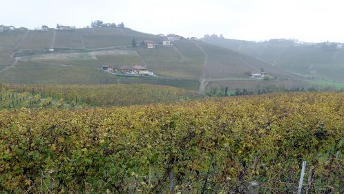 Clicca per immagine full size
