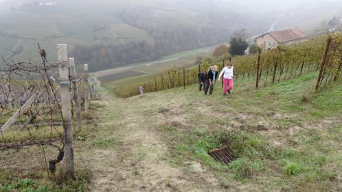 Clicca per immagine full size