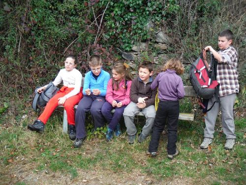 Clicca per immagine full size