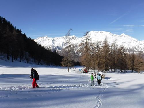 Clicca per immagine full size