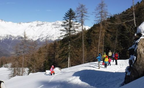 Clicca per immagine full size