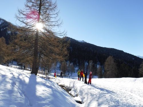 Clicca per immagine full size
