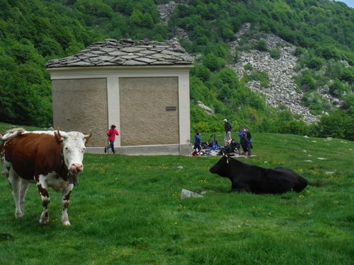 Clicca per immagine full size