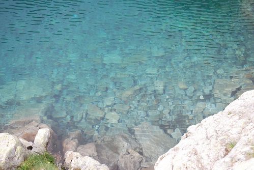 Clicca per immagine full size