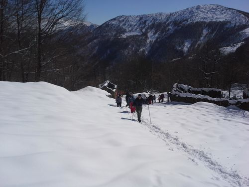 Clicca per immagine full size