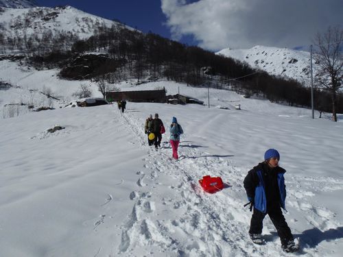 Clicca per immagine full size