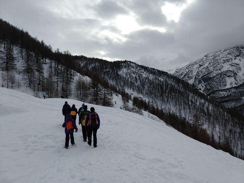 Clicca per immagine full size