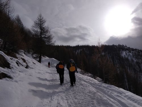 Clicca per immagine full size