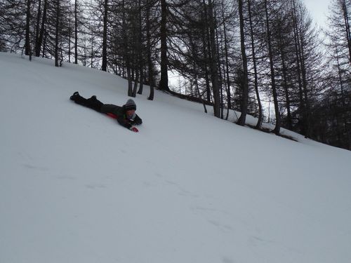 Clicca per immagine full size