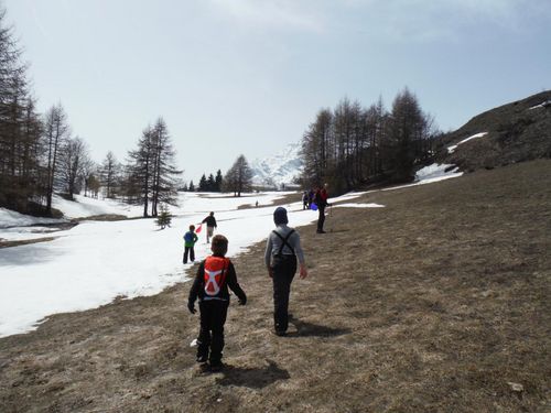 Clicca per immagine full size