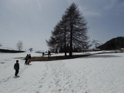 Clicca per immagine full size