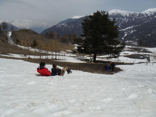 Clicca per immagine full size