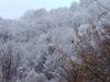 Prima neve.jpg