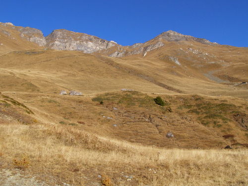 Clicca per immagine full size