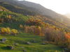 PA280016.JPG
